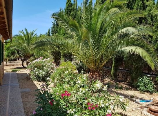 PORTO CRISTO: Idyllische Natursteinfinca mit herrlich eingewachsenem Garten und guter Anbindung in ruhiger, bevorzugter Lage